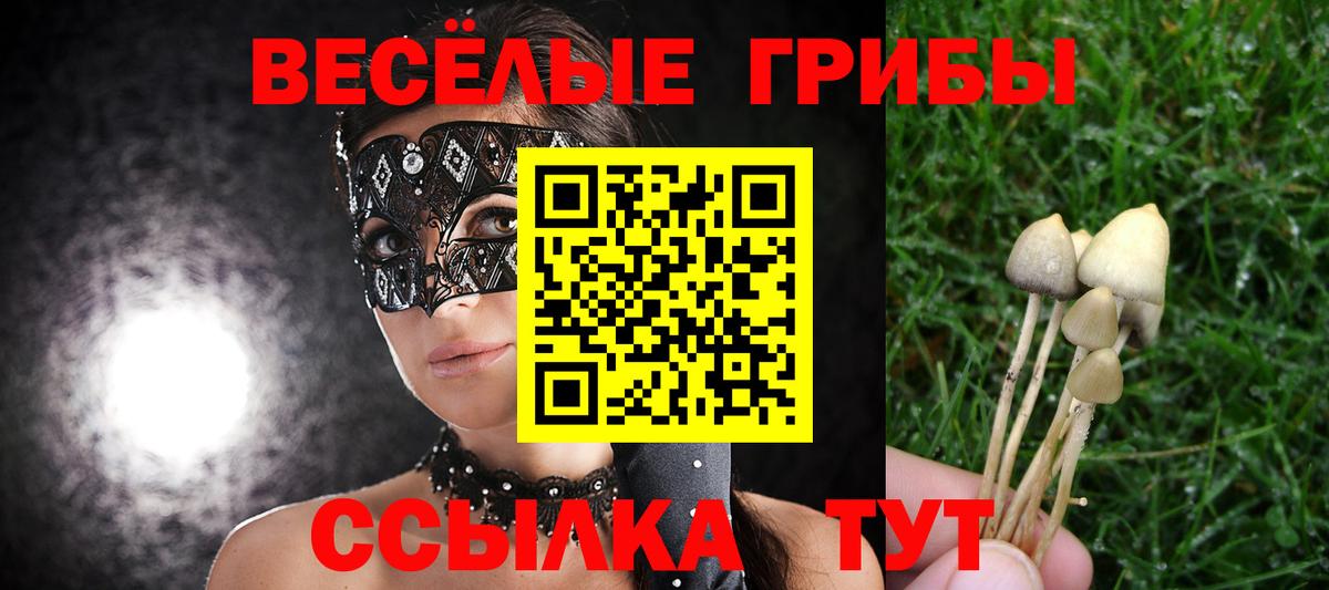 Псилоцибиновые грибы Psilocybe  Вход с VPN  Еманжелинск 